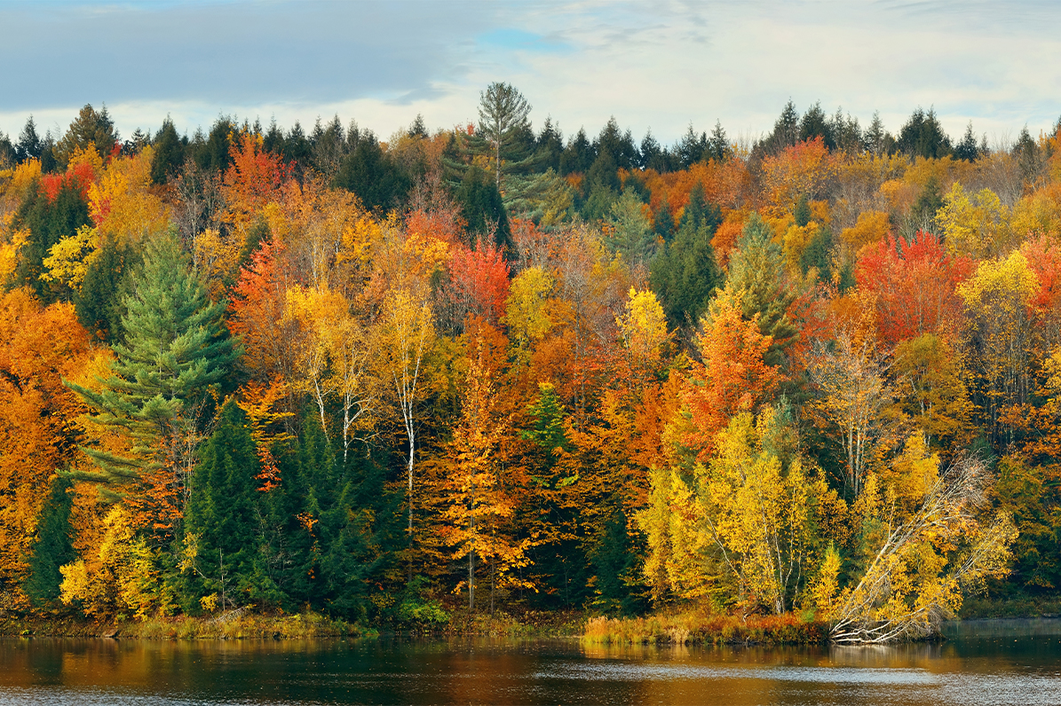 Best Spots to See Fall Colors in South Haven and Saugatuck